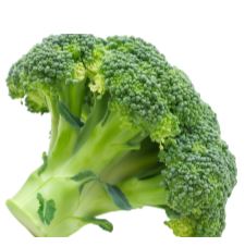 Broccoli